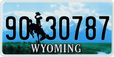 WY license plate 9030787