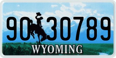 WY license plate 9030789