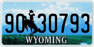 WY license plate 9030793