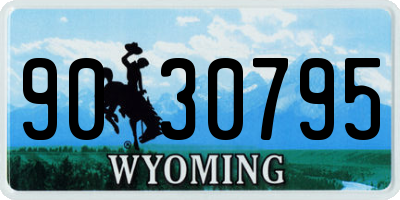WY license plate 9030795