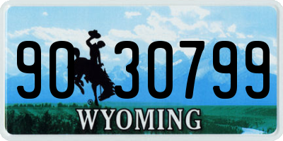 WY license plate 9030799