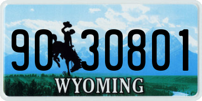 WY license plate 9030801