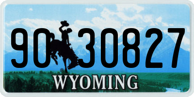WY license plate 9030827