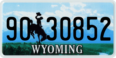 WY license plate 9030852