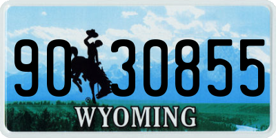 WY license plate 9030855