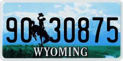 WY license plate 9030875