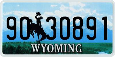 WY license plate 9030891