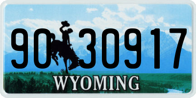 WY license plate 9030917