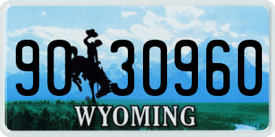 WY license plate 9030960