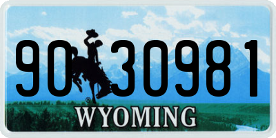 WY license plate 9030981