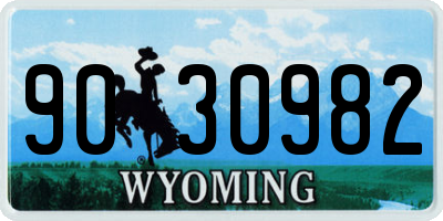 WY license plate 9030982