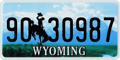 WY license plate 9030987