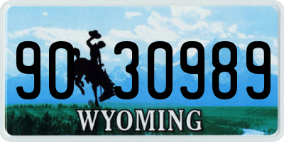 WY license plate 9030989