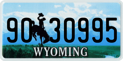 WY license plate 9030995
