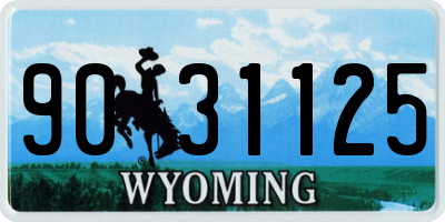 WY license plate 9031125