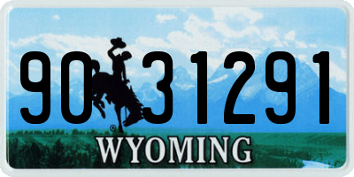 WY license plate 9031291