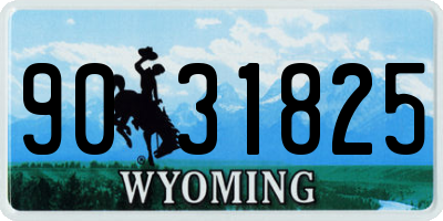 WY license plate 9031825