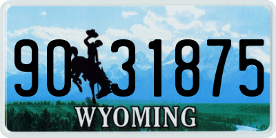 WY license plate 9031875