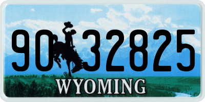 WY license plate 9032825
