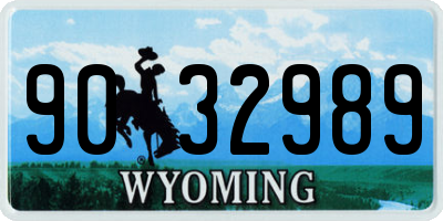 WY license plate 9032989