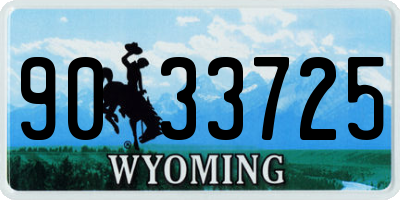 WY license plate 9033725