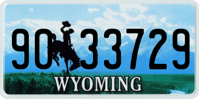 WY license plate 9033729