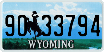 WY license plate 9033794