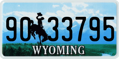 WY license plate 9033795