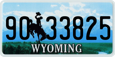 WY license plate 9033825