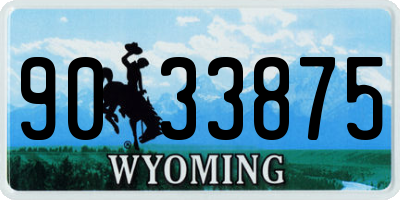 WY license plate 9033875