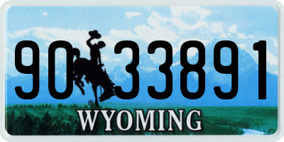 WY license plate 9033891
