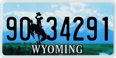 WY license plate 9034291
