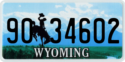 WY license plate 9034602