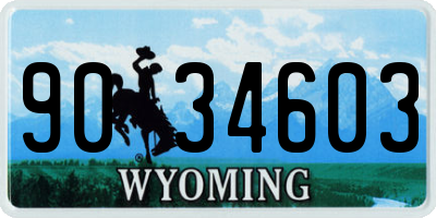 WY license plate 9034603