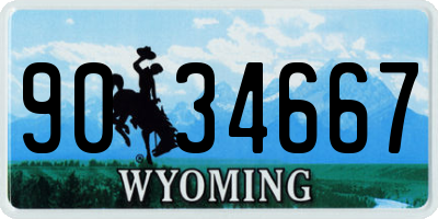 WY license plate 9034667