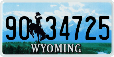WY license plate 9034725