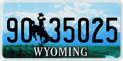WY license plate 9035025