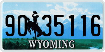 WY license plate 9035116
