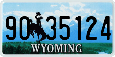 WY license plate 9035124