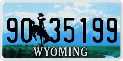 WY license plate 9035199