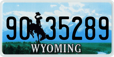 WY license plate 9035289