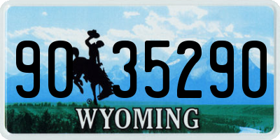 WY license plate 9035290