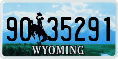 WY license plate 9035291