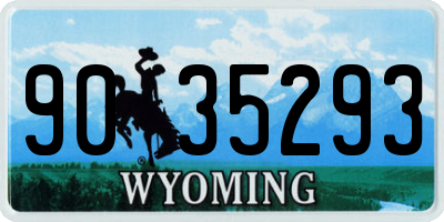 WY license plate 9035293