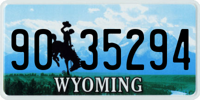 WY license plate 9035294