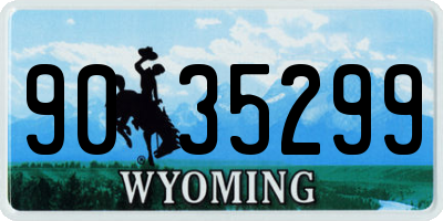 WY license plate 9035299