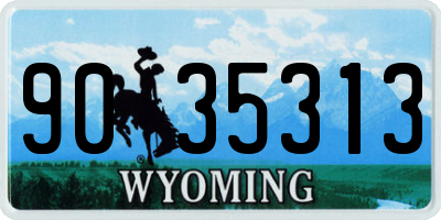 WY license plate 9035313
