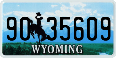 WY license plate 9035609