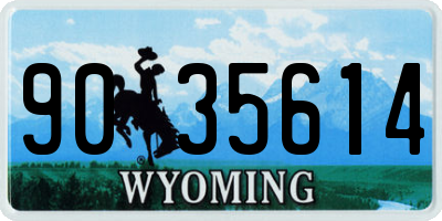 WY license plate 9035614