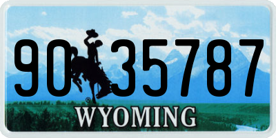 WY license plate 9035787